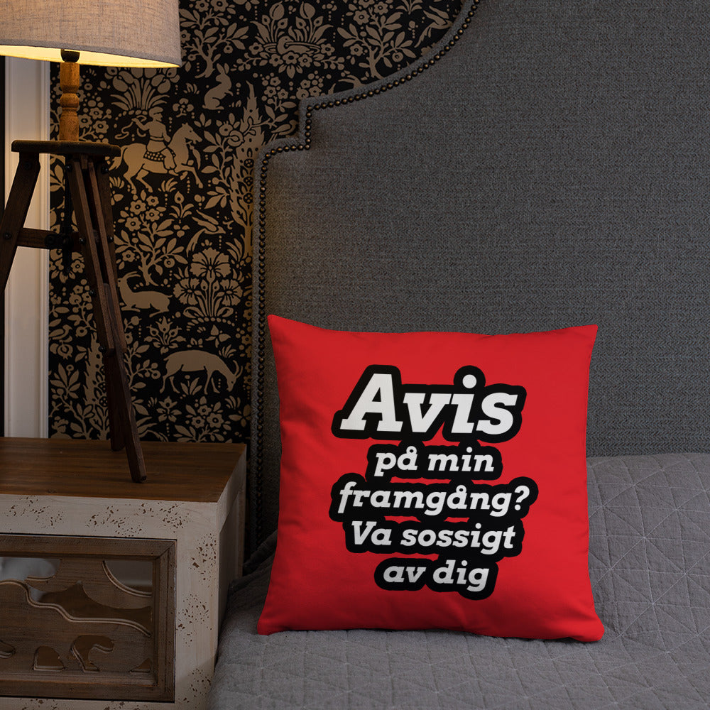 Avis på min framgång Kudde