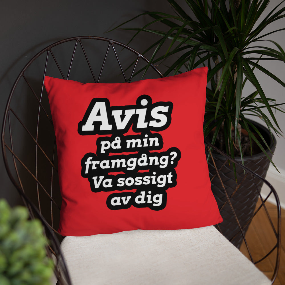 Avis på min framgång Kudde