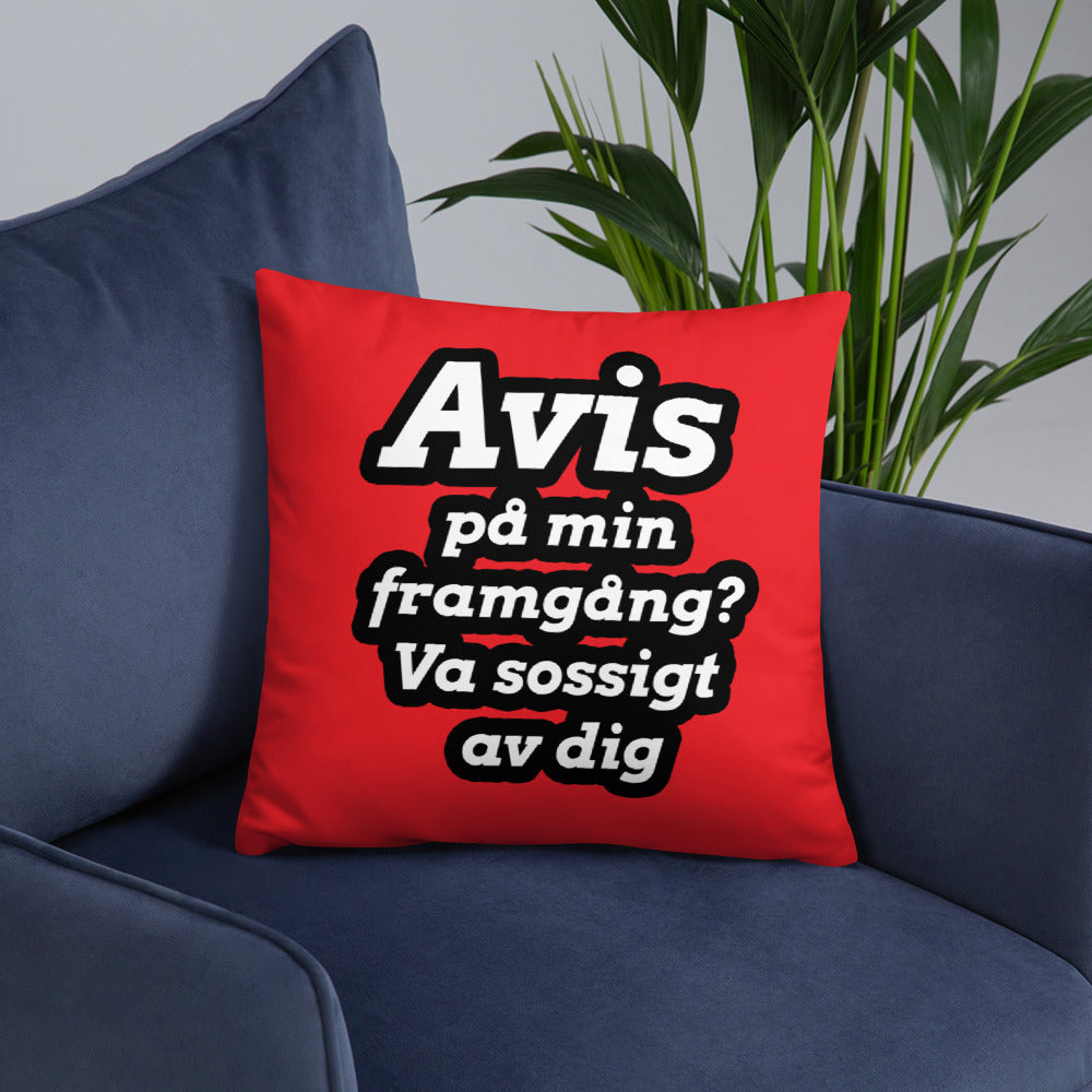 Avis på min framgång Kudde