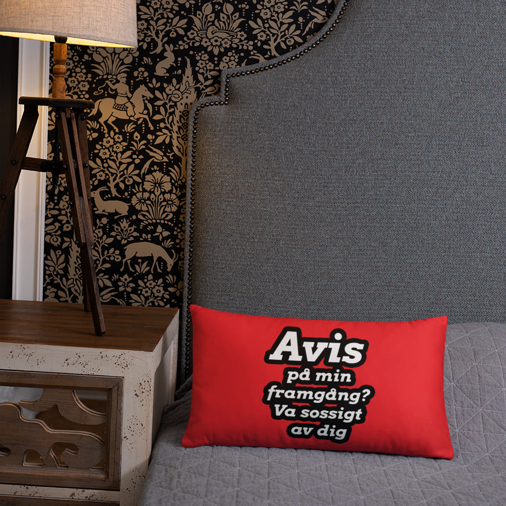 Avis på min framgång Kudde