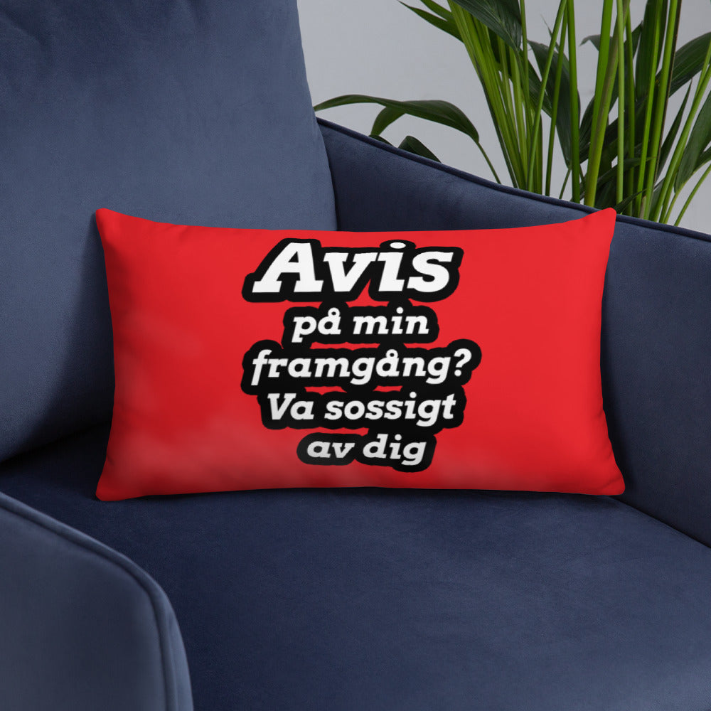 Avis på min framgång Kudde