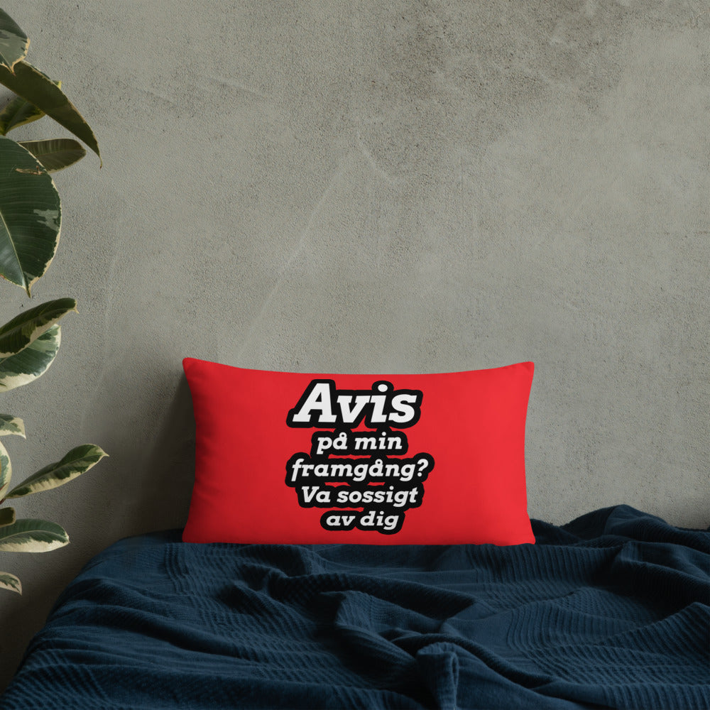 Avis på min framgång Kudde