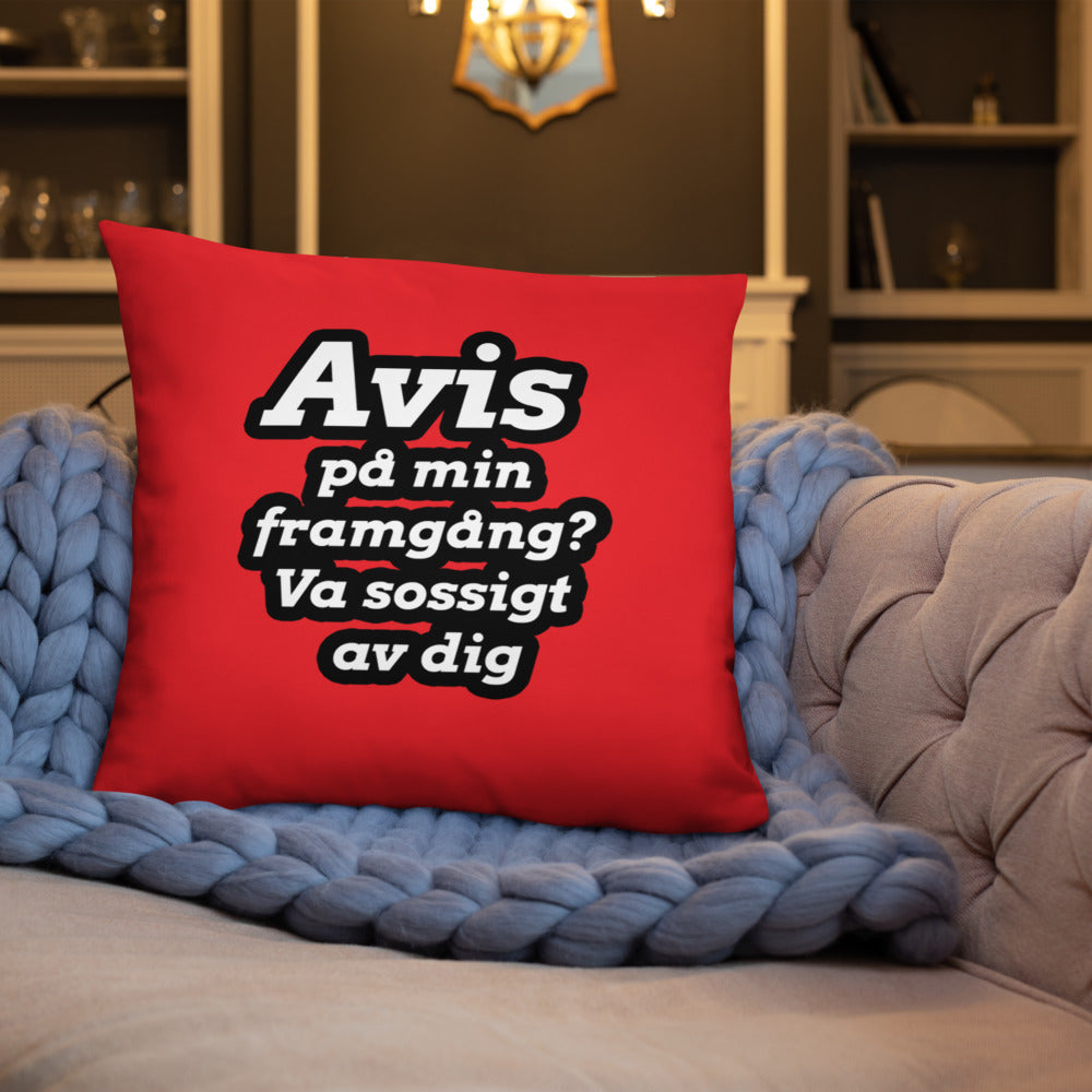 Avis på min framgång Kudde