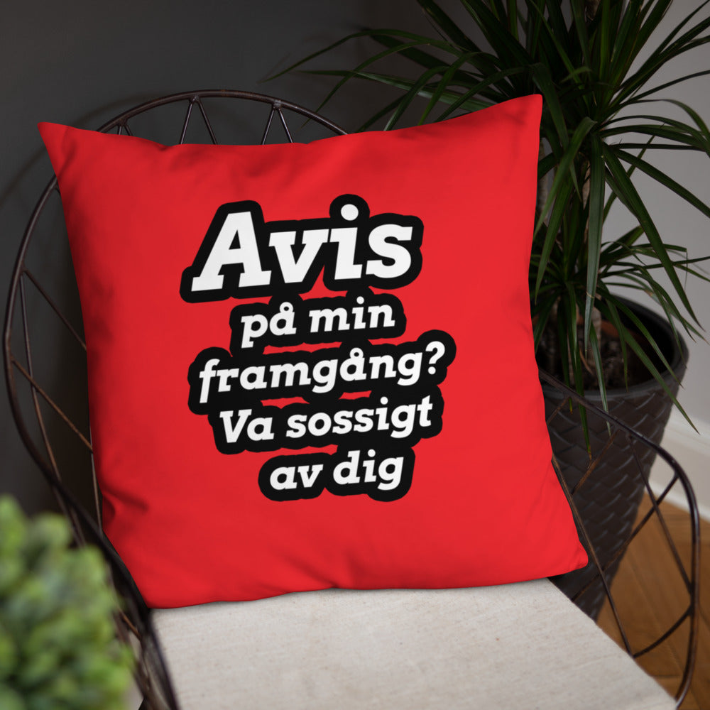 Avis på min framgång Kudde