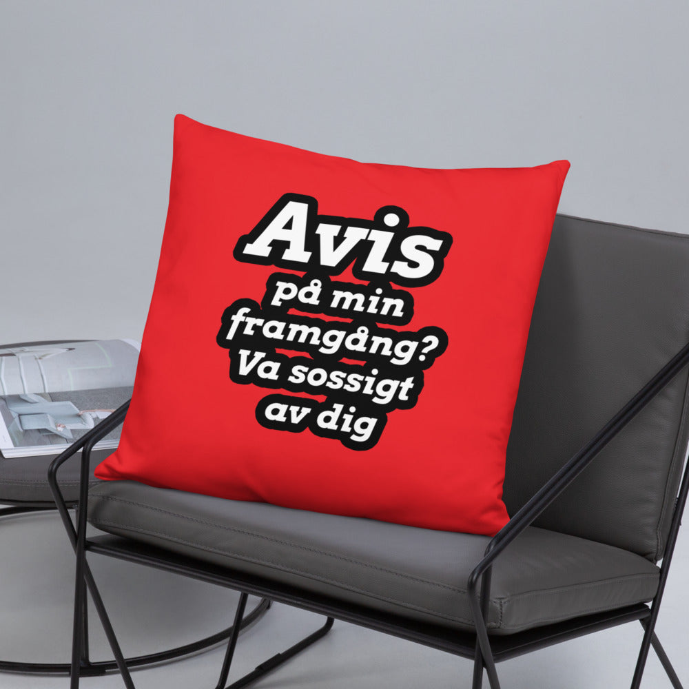Avis på min framgång Kudde