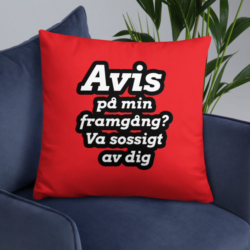 Avis på min framgång Kudde
