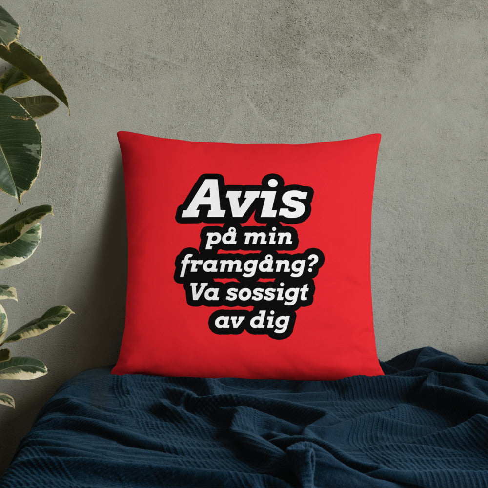 Avis på min framgång Kudde